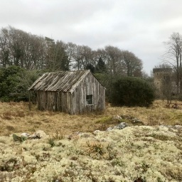 A du Maurier on Dartmoor